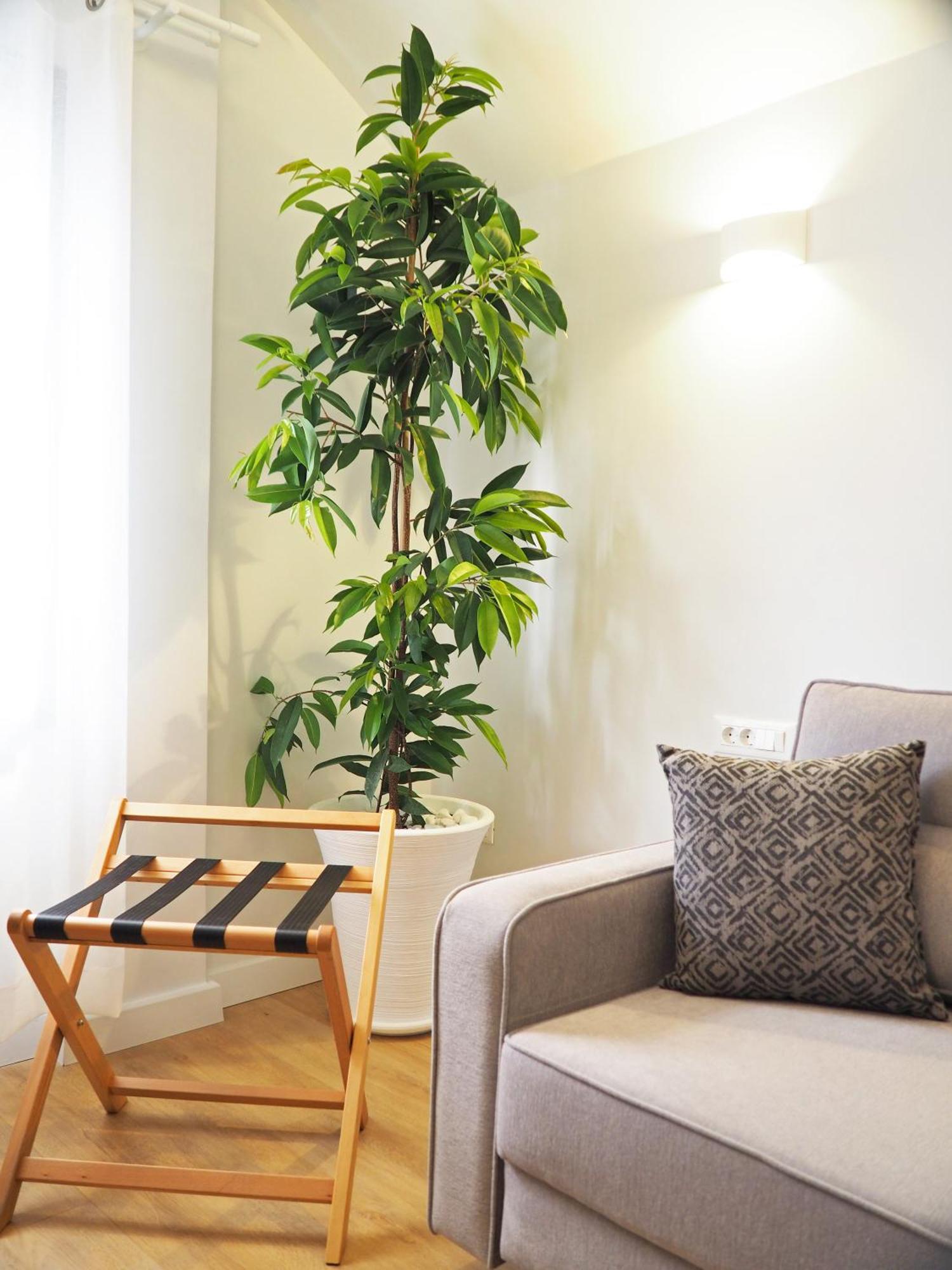 Times Elegant Rooms Ermoupoli Ngoại thất bức ảnh
